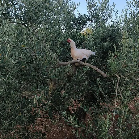 Maja - 3 Bedrooms Appartement *