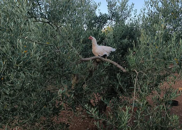 Maja - 3 Bedrooms Appartement *