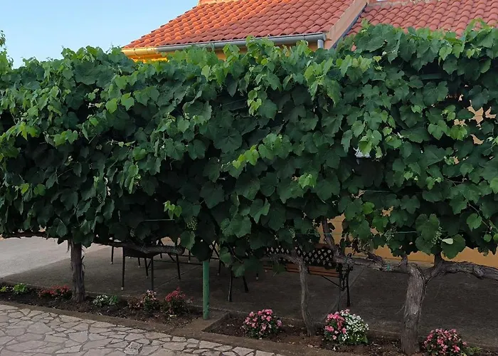 Maja - 3 Bedrooms Appartement